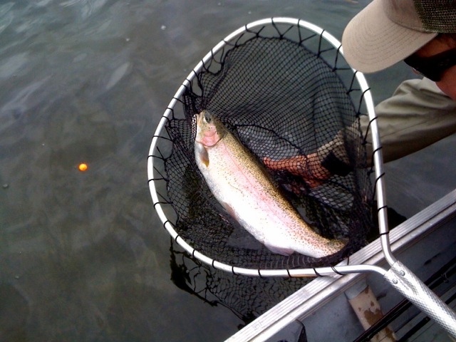 Dad fishing 2